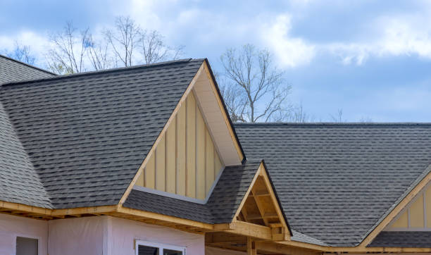 Best Roof Leak Repair  in Cabool, MO