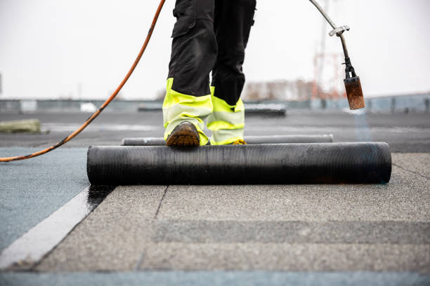 Best Asphalt Shingles Roofing  in Cabool, MO